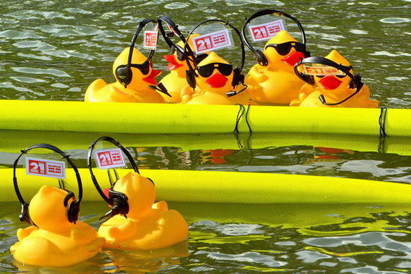 Maschseefest2014   730.jpg